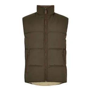 Dubarry Graystown Mens Down Gilet - Olive