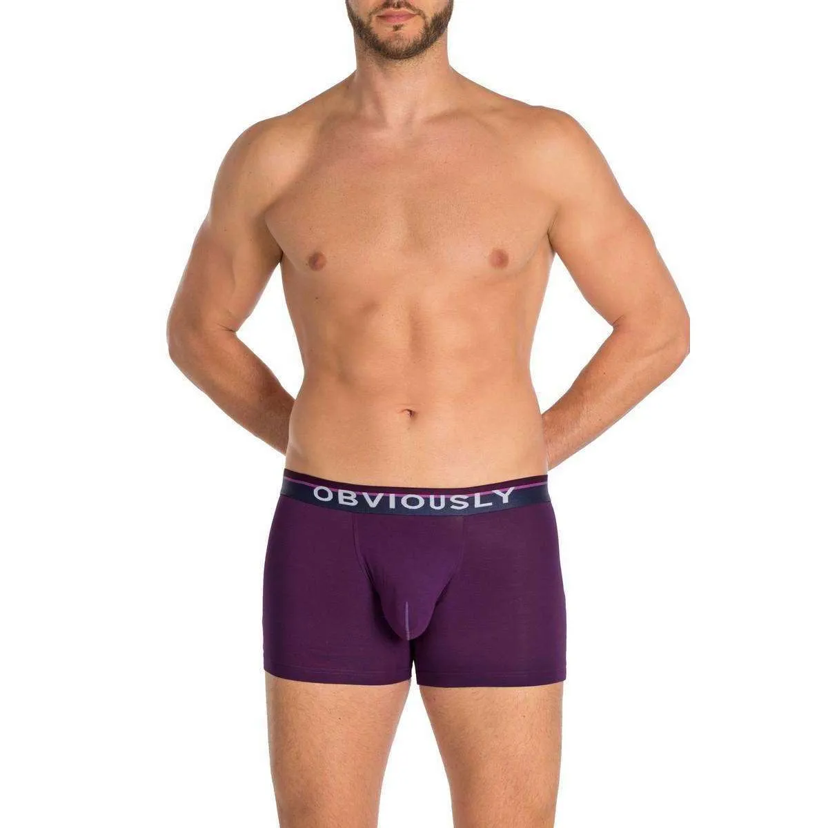 Obviously PrimeMan AnatoMAX Boxer Brief 3inch Leg - Purple